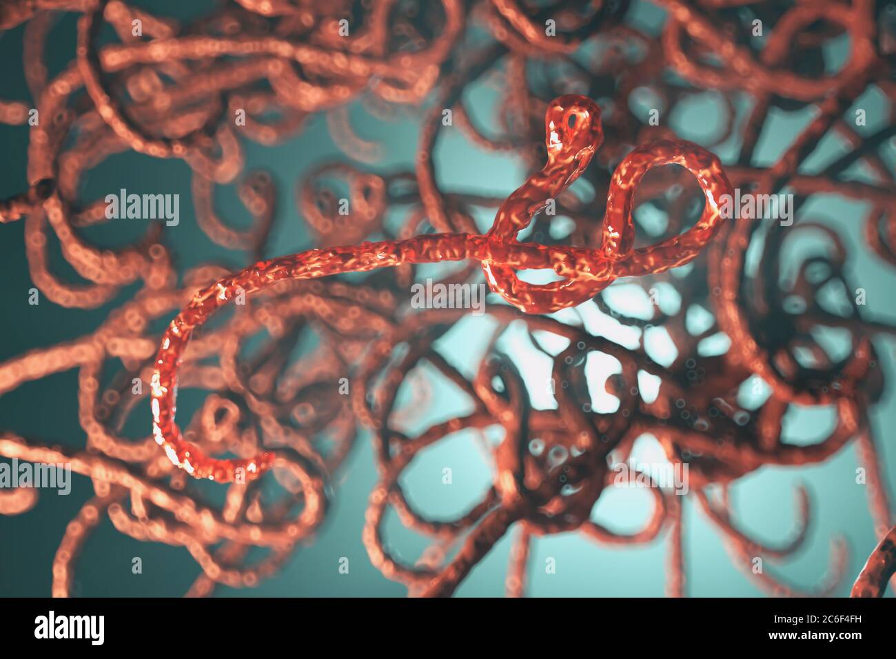 Vista microscopica del virus ebola, illustrazione 3d Foto Stock