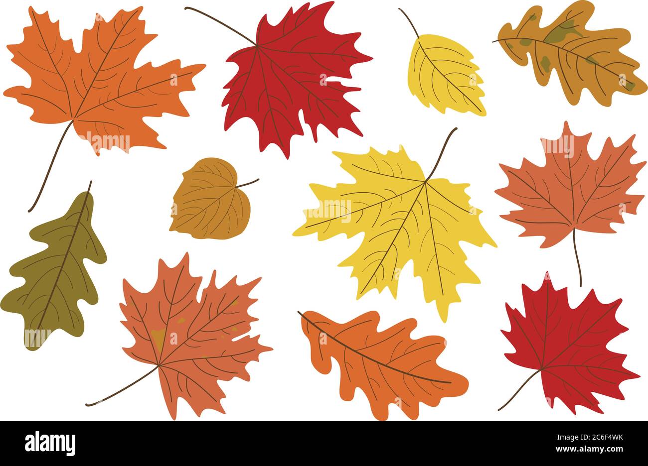 Illustrazione vettoriale, insieme di foglie d'autunno realistiche e luminose. Caduta foglie sfondo. Foglie di acero, tiglio, quercia e pioppo. Illustrazione Vettoriale