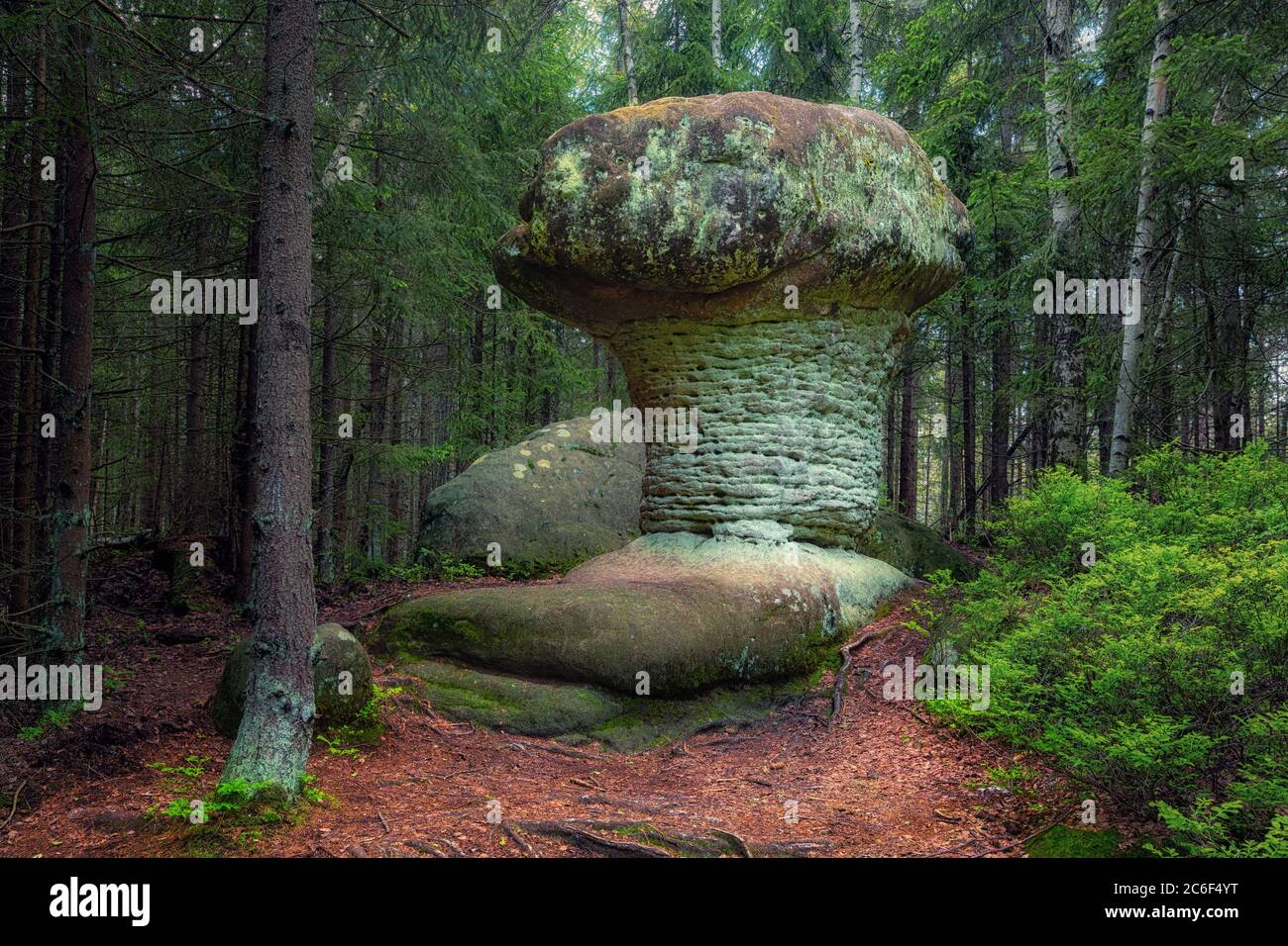 Formazione geologica di roccia a forma di fungo di pietra. Parco Nazionale delle Montagne di Stolowe, bassa Slesia, Polonia Foto Stock