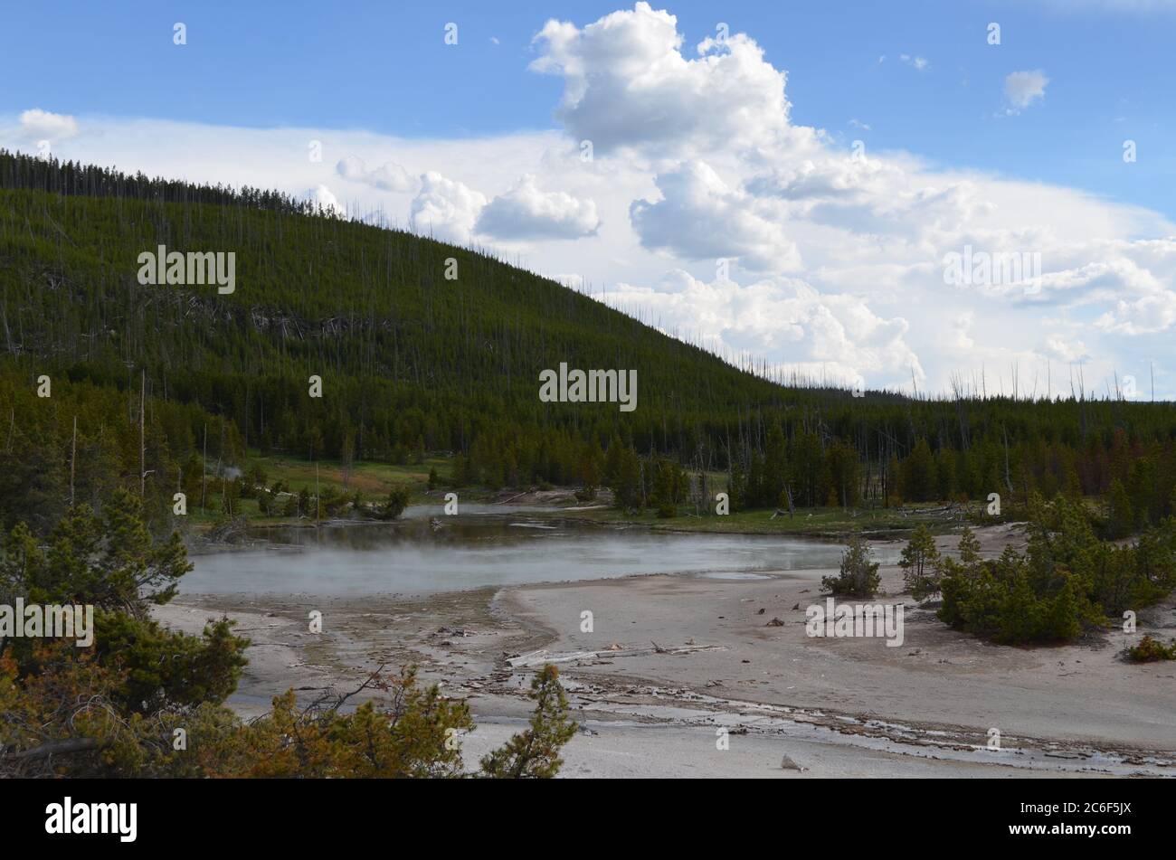 Primavera tarda nel Parco Nazionale di Yellowstone: Sorgenti termali di Grey Lakes nella zona di Back Basin del Norris Geyser Basin Foto Stock