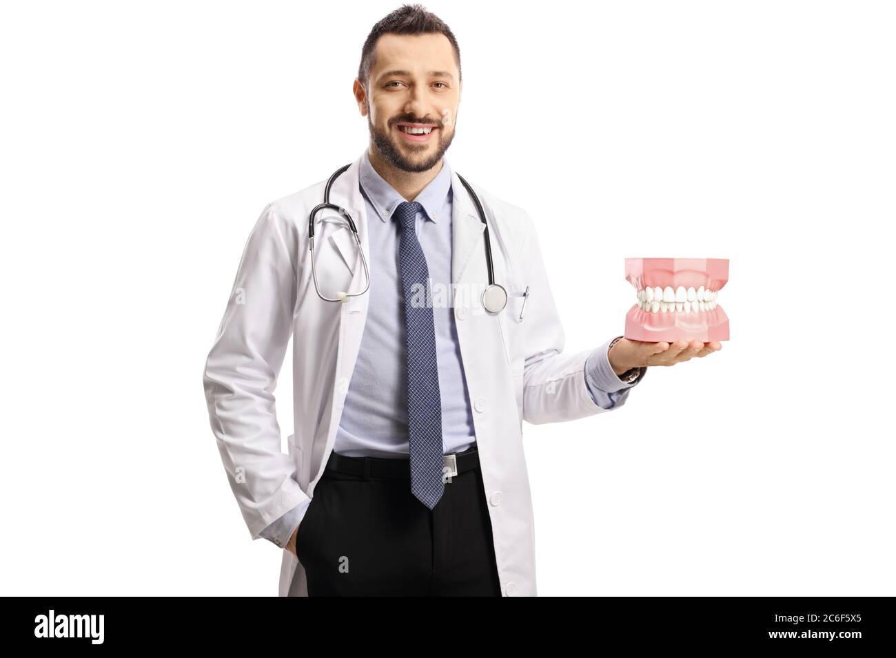 Medico dentista maschile che tiene un modello grande mascella in mano isolato su sfondo bianco Foto Stock