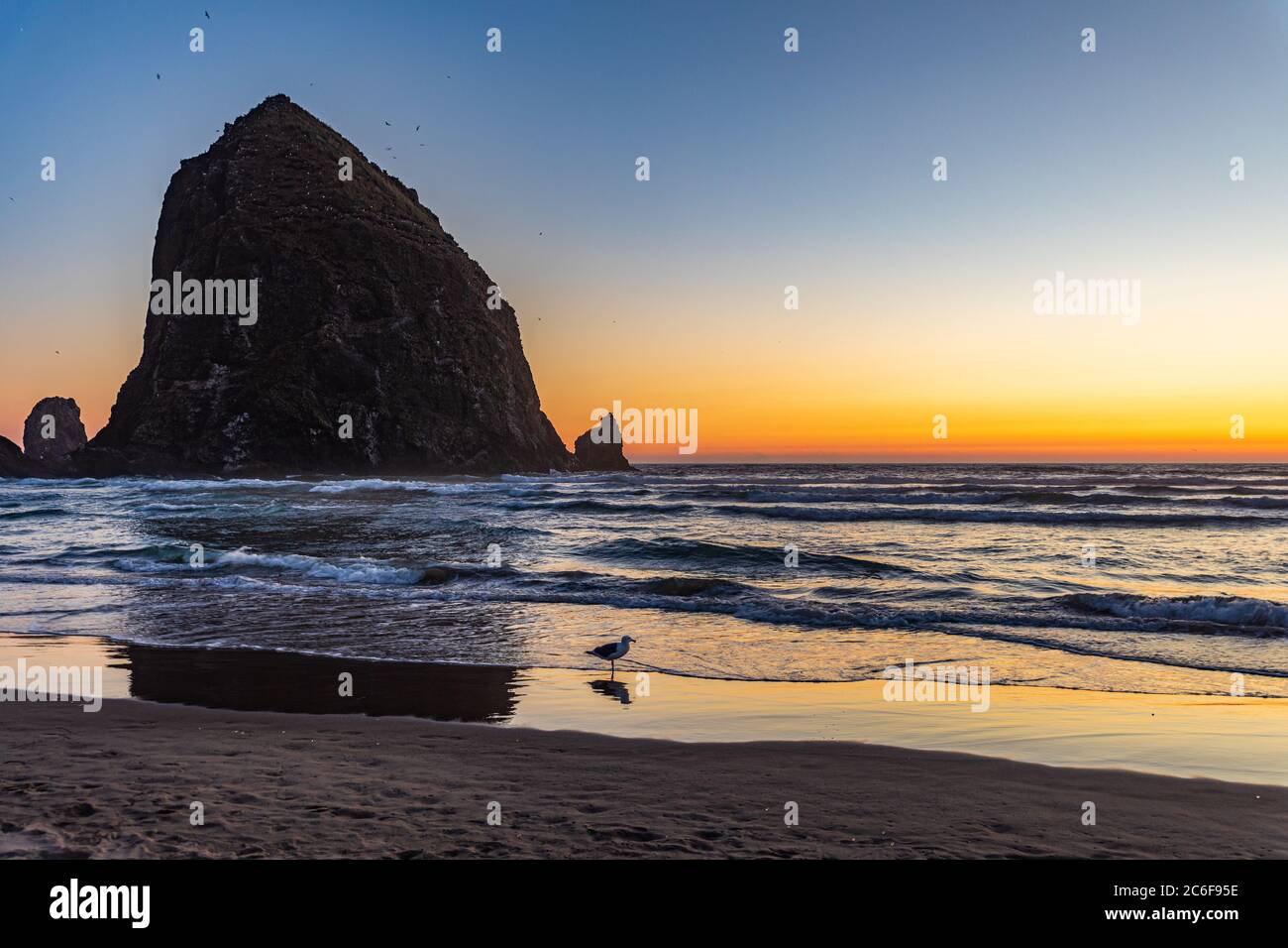 Il tramonto arancione lungo l'orizzonte si illumina dietro Haystack Rock e attraverso le onde fino alla sabbia bagnata con un gabbiano che si erge sulla spiaggia di Cannon in Oregon. Foto Stock