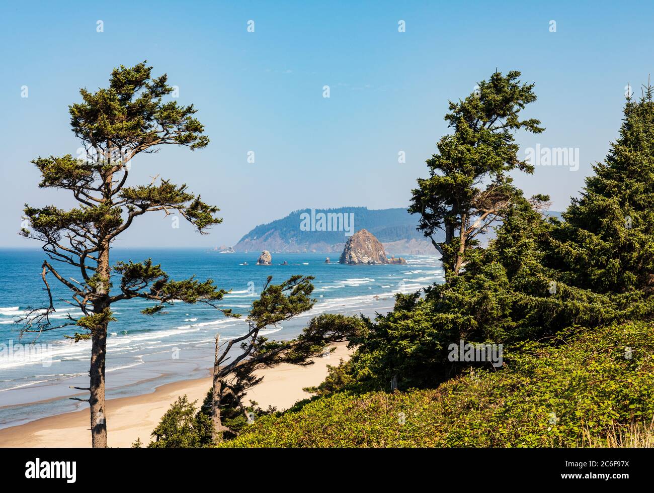 Gli alberi verdi incorniciano la vista di Haystack Rock e Cannon Beach in una giornata di sole in Oregon Foto Stock