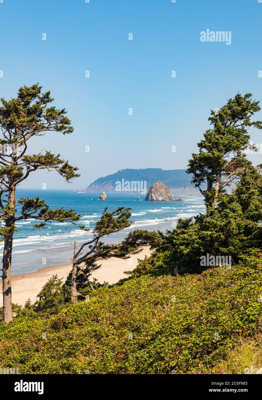 Immagine verticale - gli alberi verdi incorniciano la vista di Haystack Rock e Cannon Beach in una giornata di sole in Oregon Foto Stock
