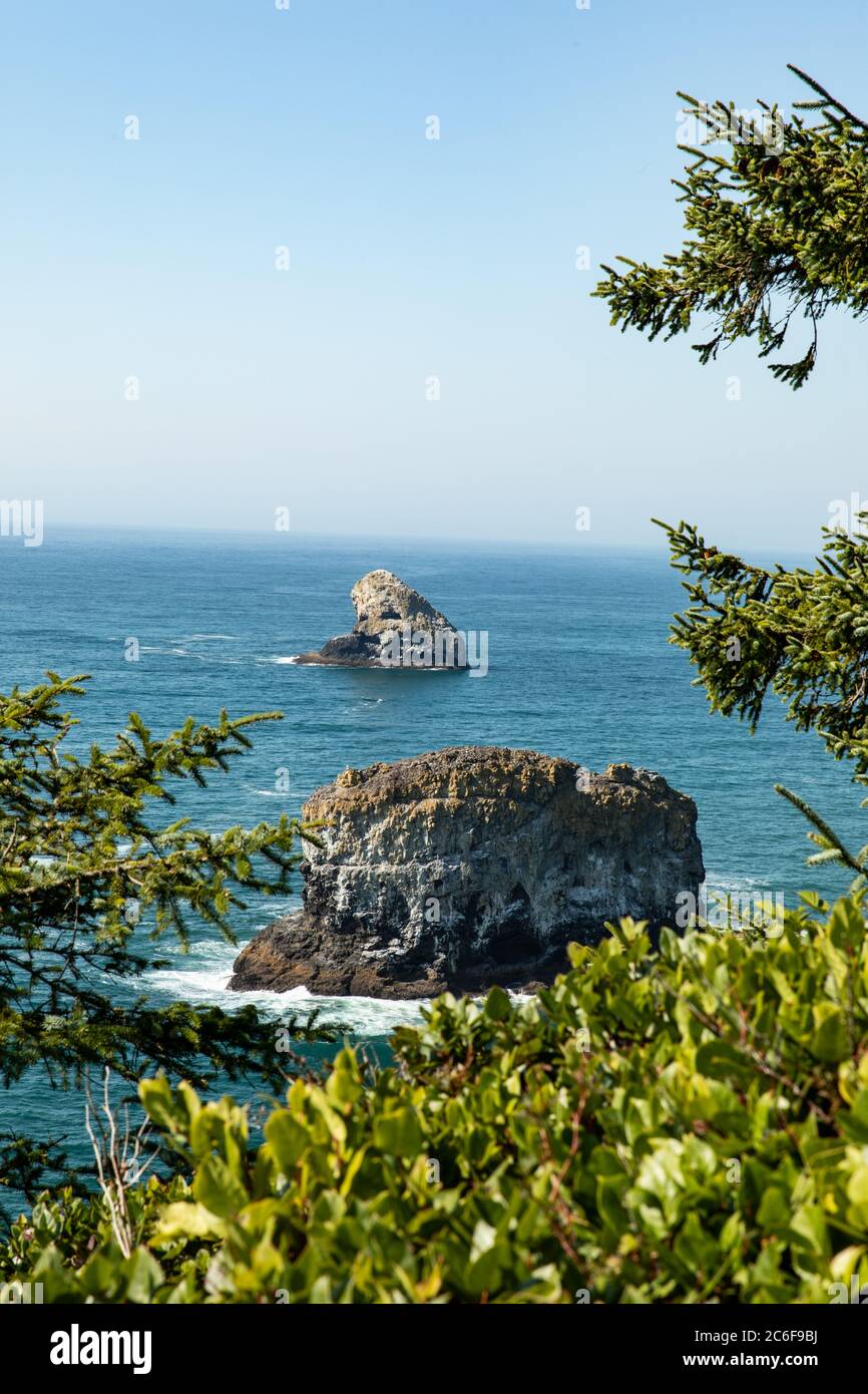 Immagine verticale - alberi verdi incorniciano la vista di pile di mare nell'acqua a Capo Meares si affacciano in Oregon Foto Stock