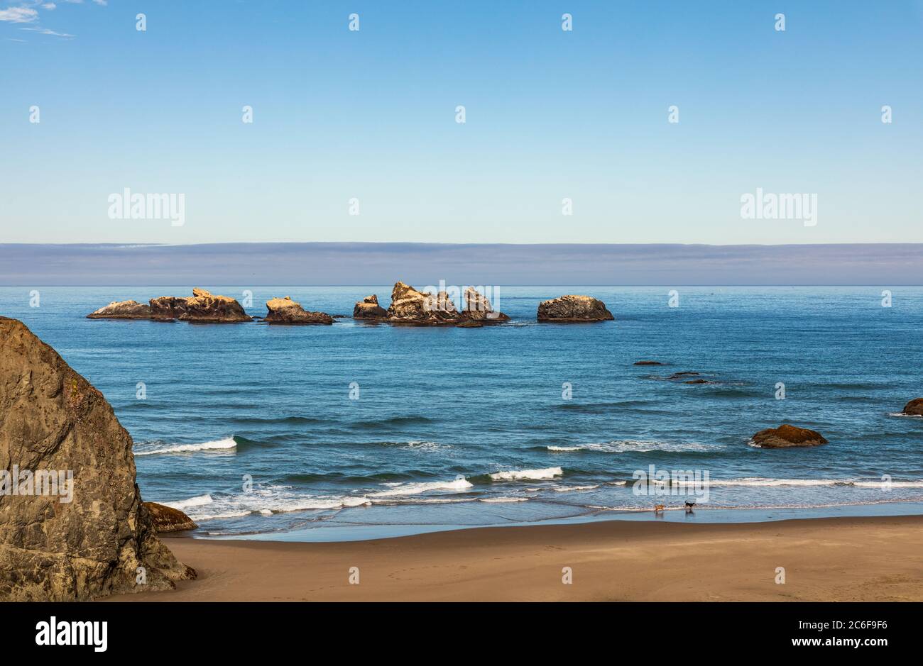 Cani che giocano su una spiaggia con le pile di mare appena fuori Riva vicino a Bandon, Oregon Foto Stock