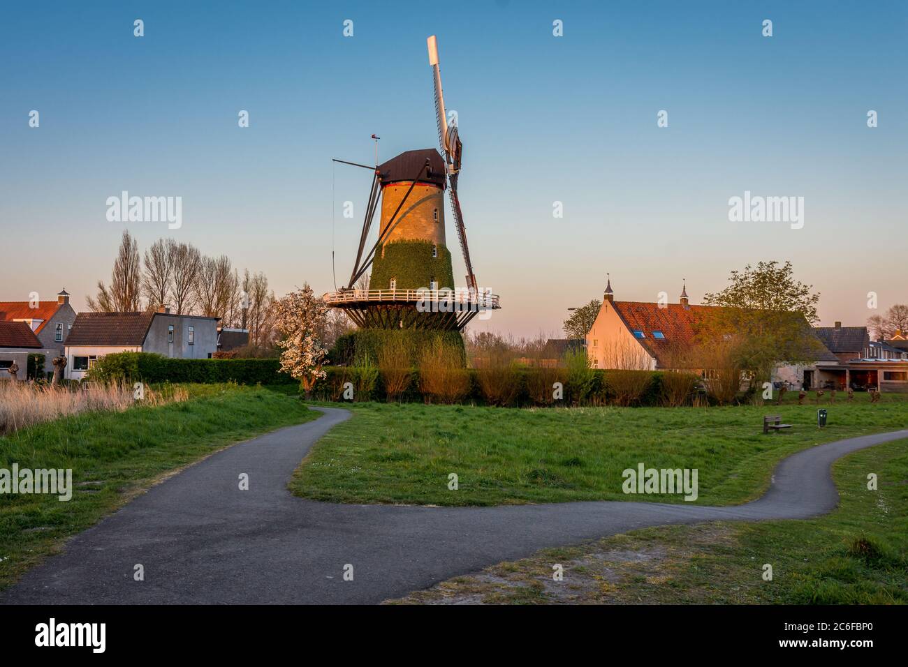 Scenario pittoresco con un mulino a vento chiamato 'De Arend' a Terheijden, Paesi Bassi Foto Stock