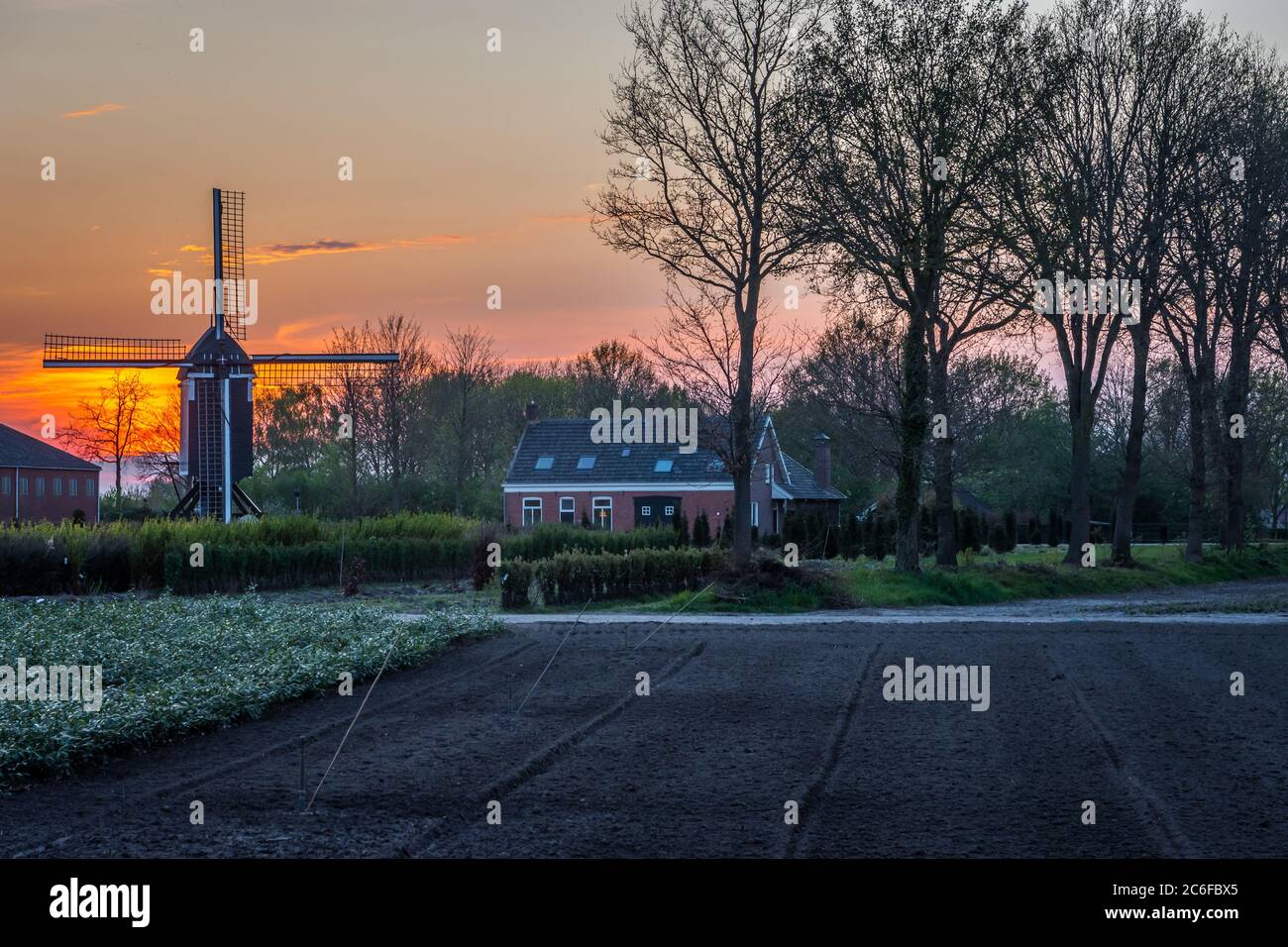Terreni agricoli olandesi nel villaggio di Zundert, Brabante Nord, con un vecchio mulino a vento durante il tramonto colorato Foto Stock
