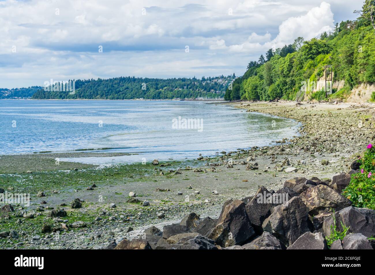 Rock line al Saltwater state Park a Des Moines, Washington. Foto Stock