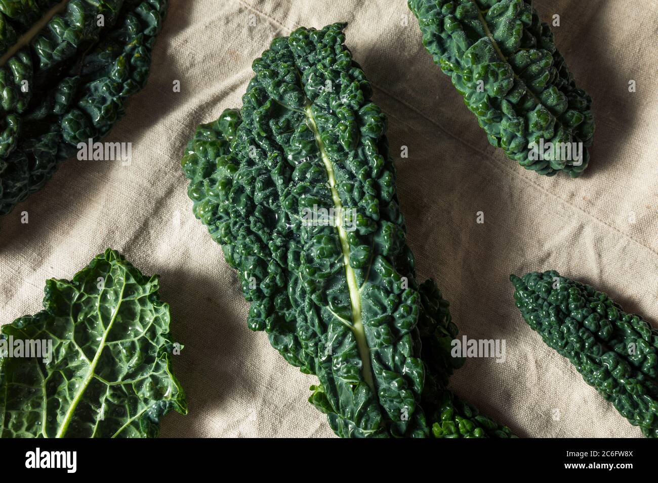 Crudo Green biologico toscano Dinosaur Kale in un mazzo Foto Stock