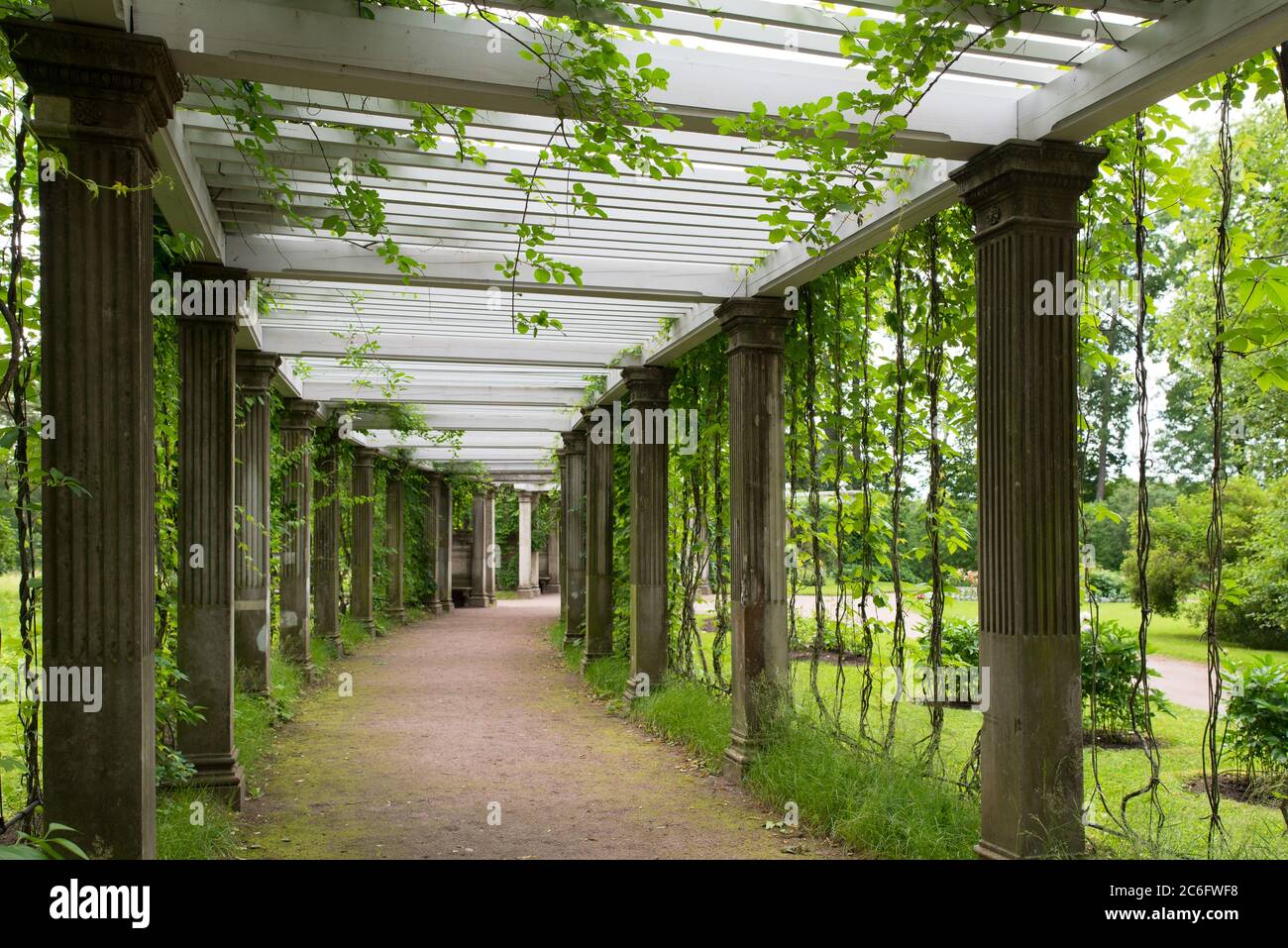 Tsarskoye Selo, San Pietroburgo, Russia – 7 luglio 2020: Pergola in stile italiano nel Giardino privato del Parco di Caterina. Foto Stock