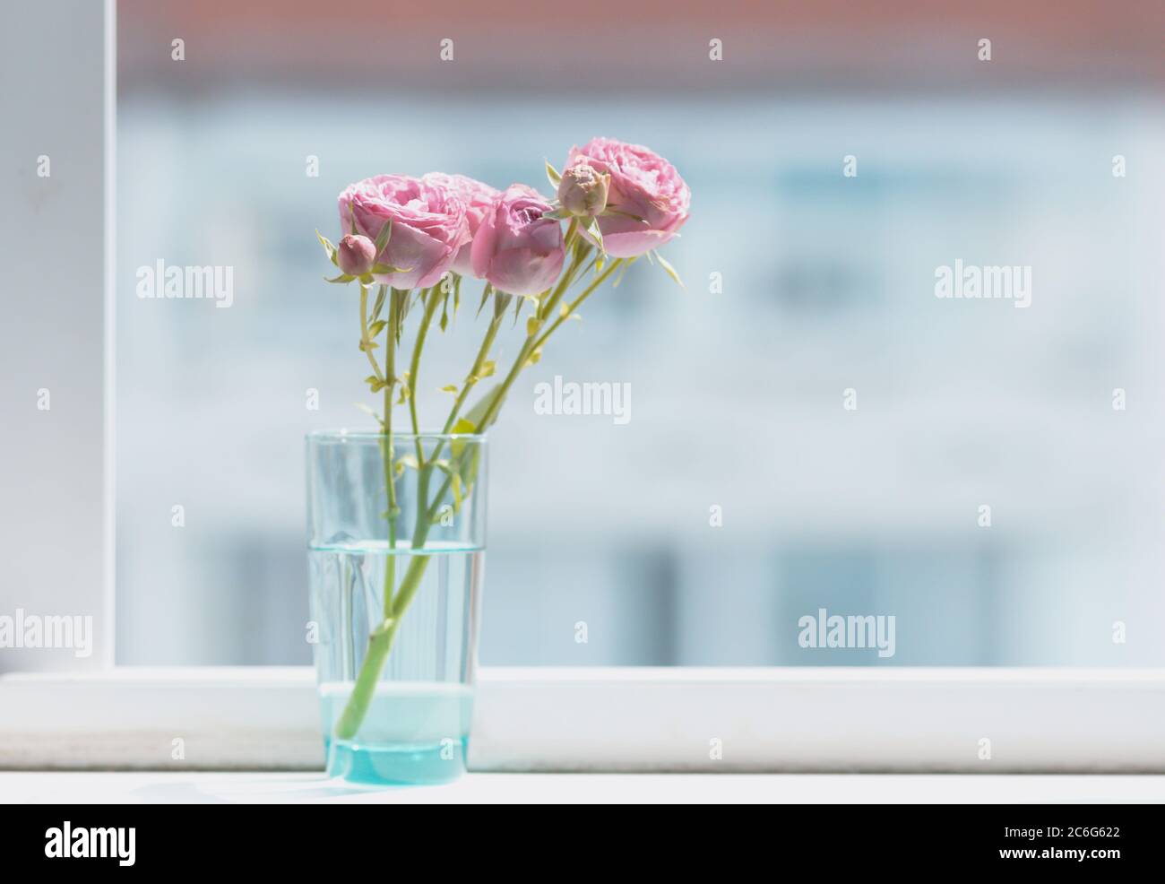 Bellissimi fiori sul davanzale. Rose rosa in vaso di vetro. Foto Stock