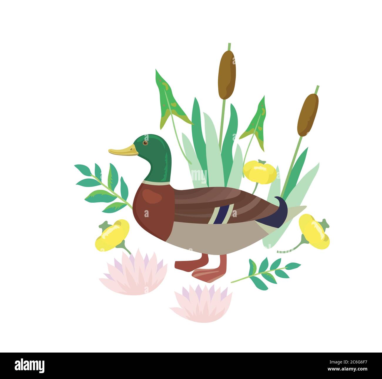 Simpatico vettore illustrazioni con anatra, canna e fiori giglio. Illustrazione Vettoriale