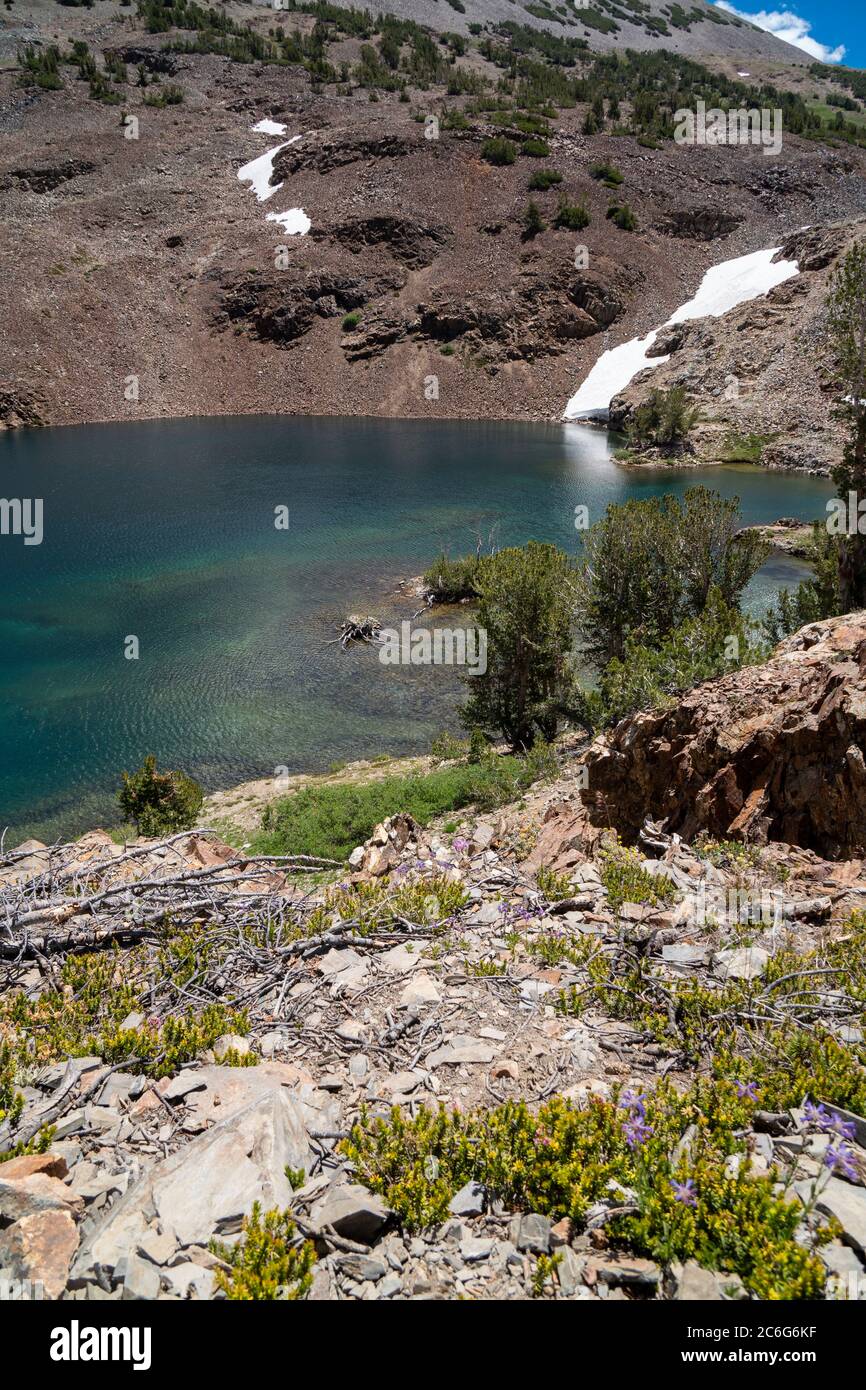 Bellissima vista del 20 laghi nel bacino orientale californiano Sierra Nevada. Valle con il lago e scogliere lungo il sentiero Foto Stock