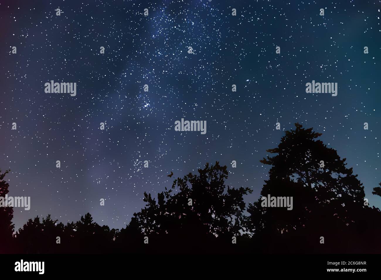 Milky Way Galaxy in Starry Night Sky e Forest Tree Silhouettes, Germania, Europa Foto Stock