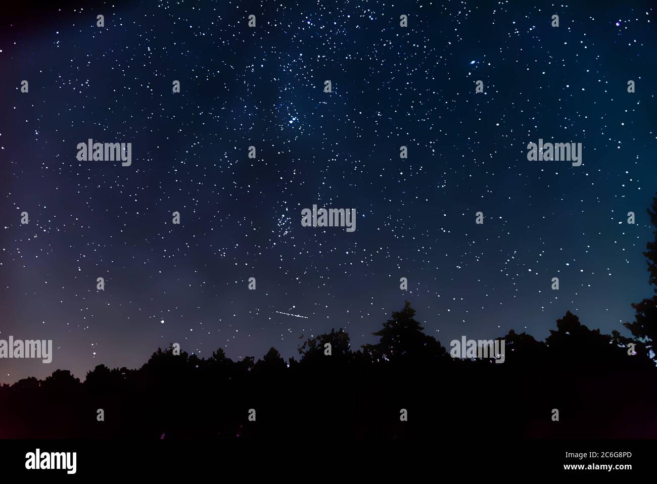 Milky Way Galaxy in Starry Night Sky e Forest Tree Silhouettes, Germania, Europa Foto Stock