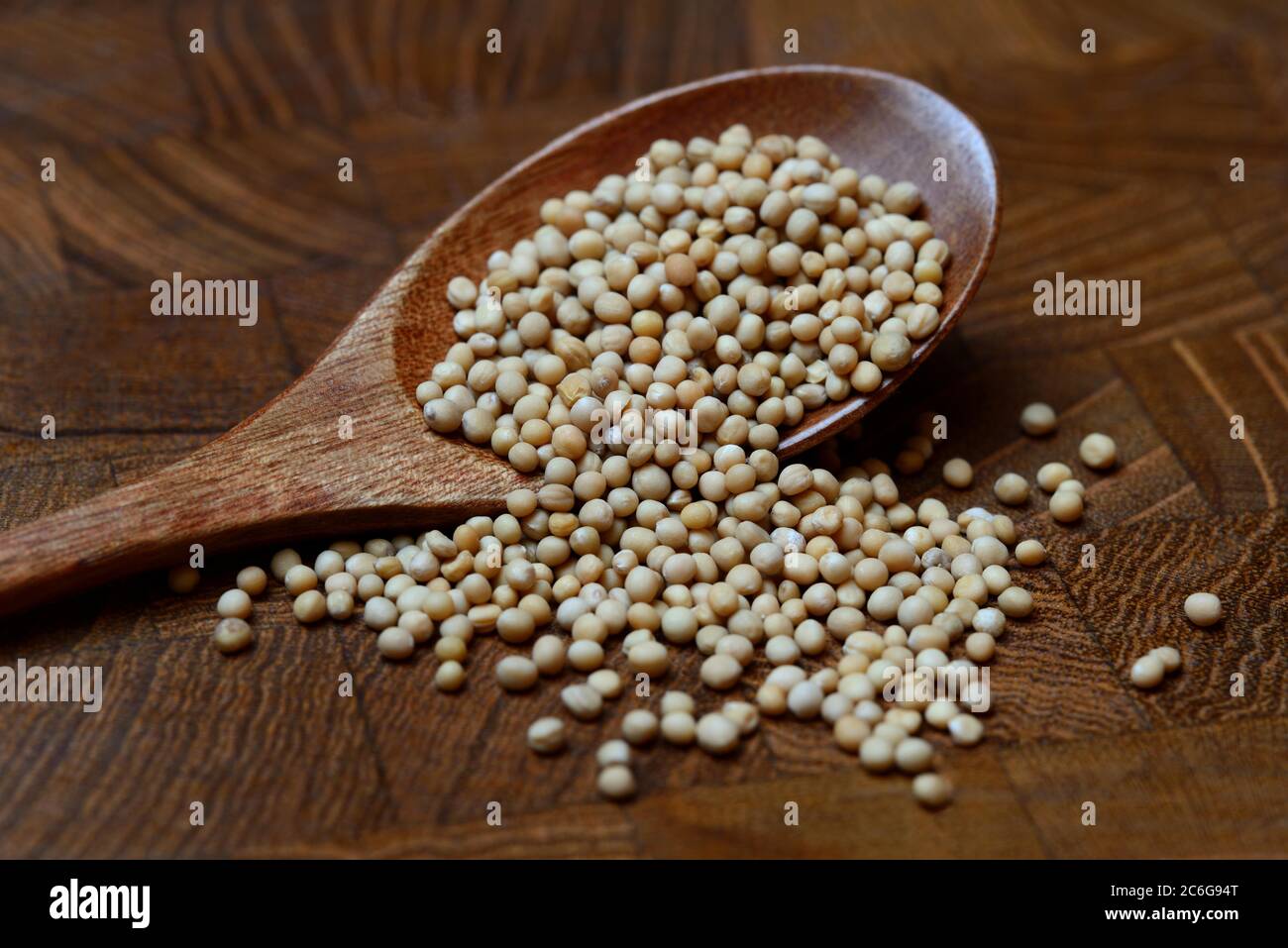 Senape, semi di senape bianca in cucchiaio di legno, Germania Foto Stock