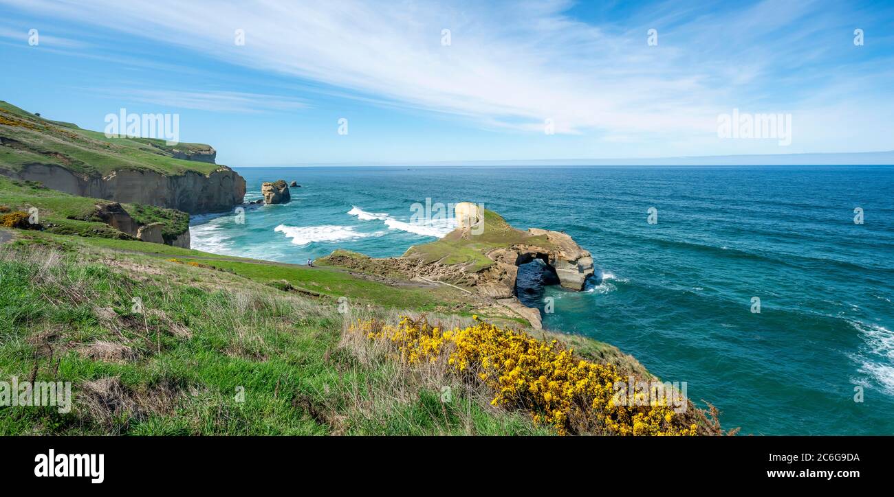 Cliff, Tunnel Beach, Dunedin, Regione di Otago e Southland, Nuova Zelanda Foto Stock
