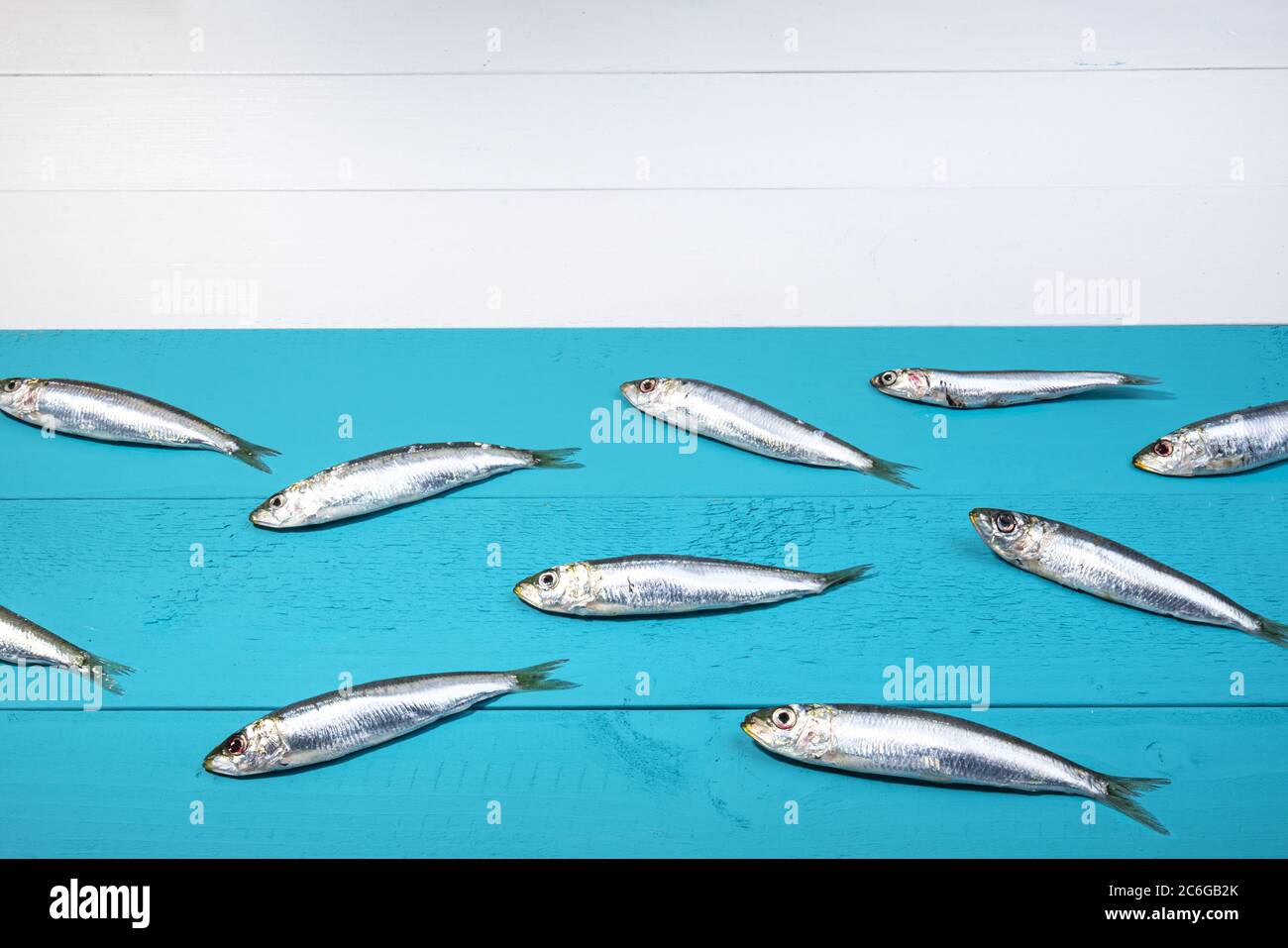 alcune sardine disposte su un tavolo di legno blu come se fossero nuotate in mare Foto Stock