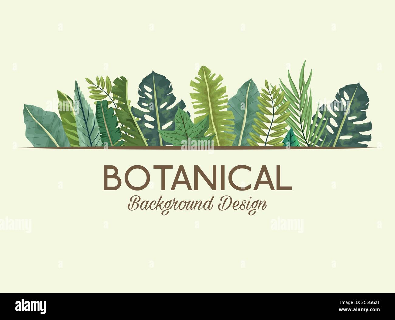 foglie tropicali e scritte botaniche sfondo disegno vettoriale illustrazione disegno Illustrazione Vettoriale