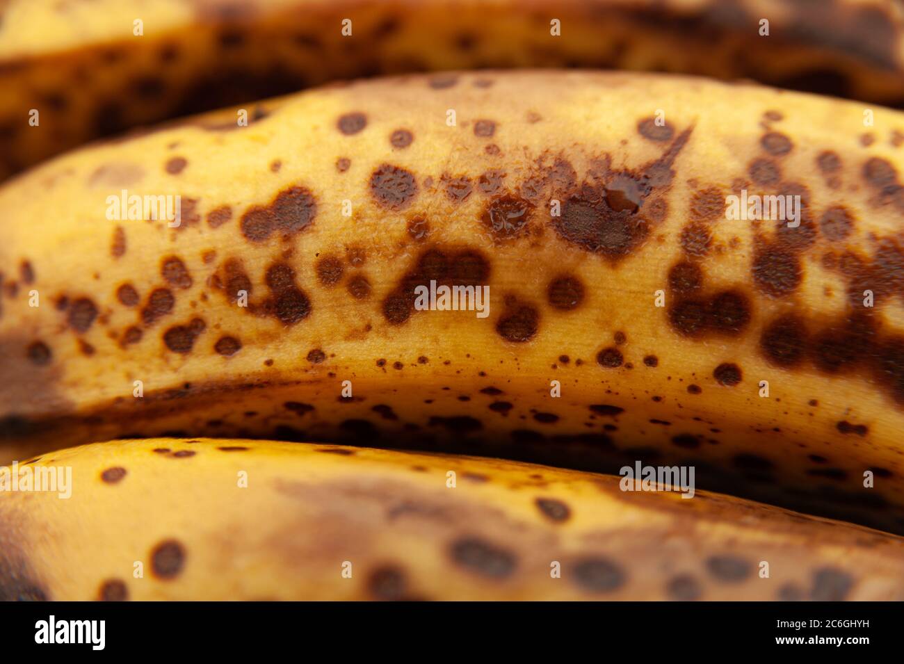 Tre banane mature isolate su sfondo di legno chiaro. Primo piano. Vista dall'alto. Foto Stock