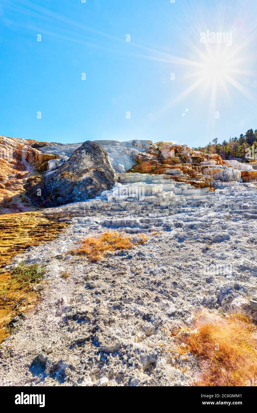 Palette Spring con deliberata luce solare alle sorgenti termali di Mammoth nel Parco Nazionale di Yellowstone. I termofili colorati creano una tavolozza che cambia Foto Stock