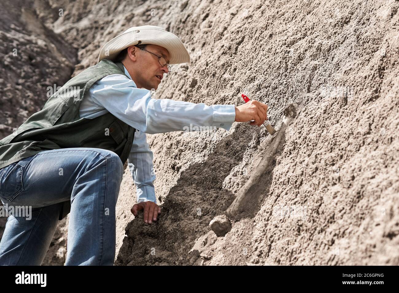 il paleontologo estrae l'osso fossile da una roccia pulendolo con una spazzola Foto Stock