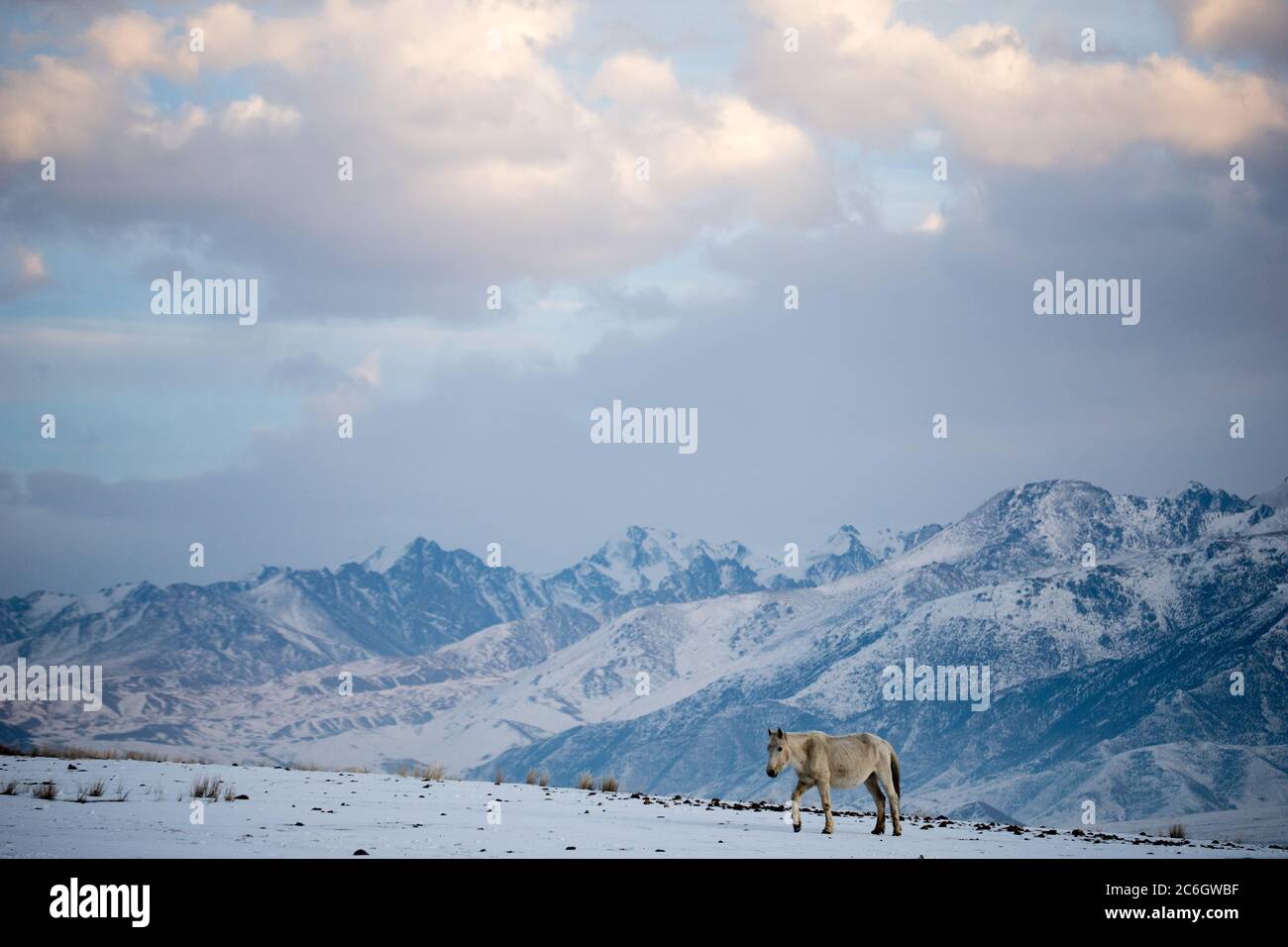 Scene del campo di Jiachy Yurt sulla riva sud di Issyk Kol in Kirghizistan. Foto Stock