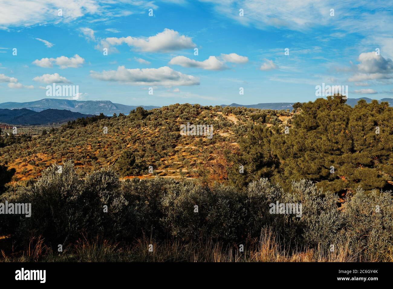 Mar Egeo in estate. Vista panoramica dell'isola di Lesbos. Grecia, Europa Foto Stock