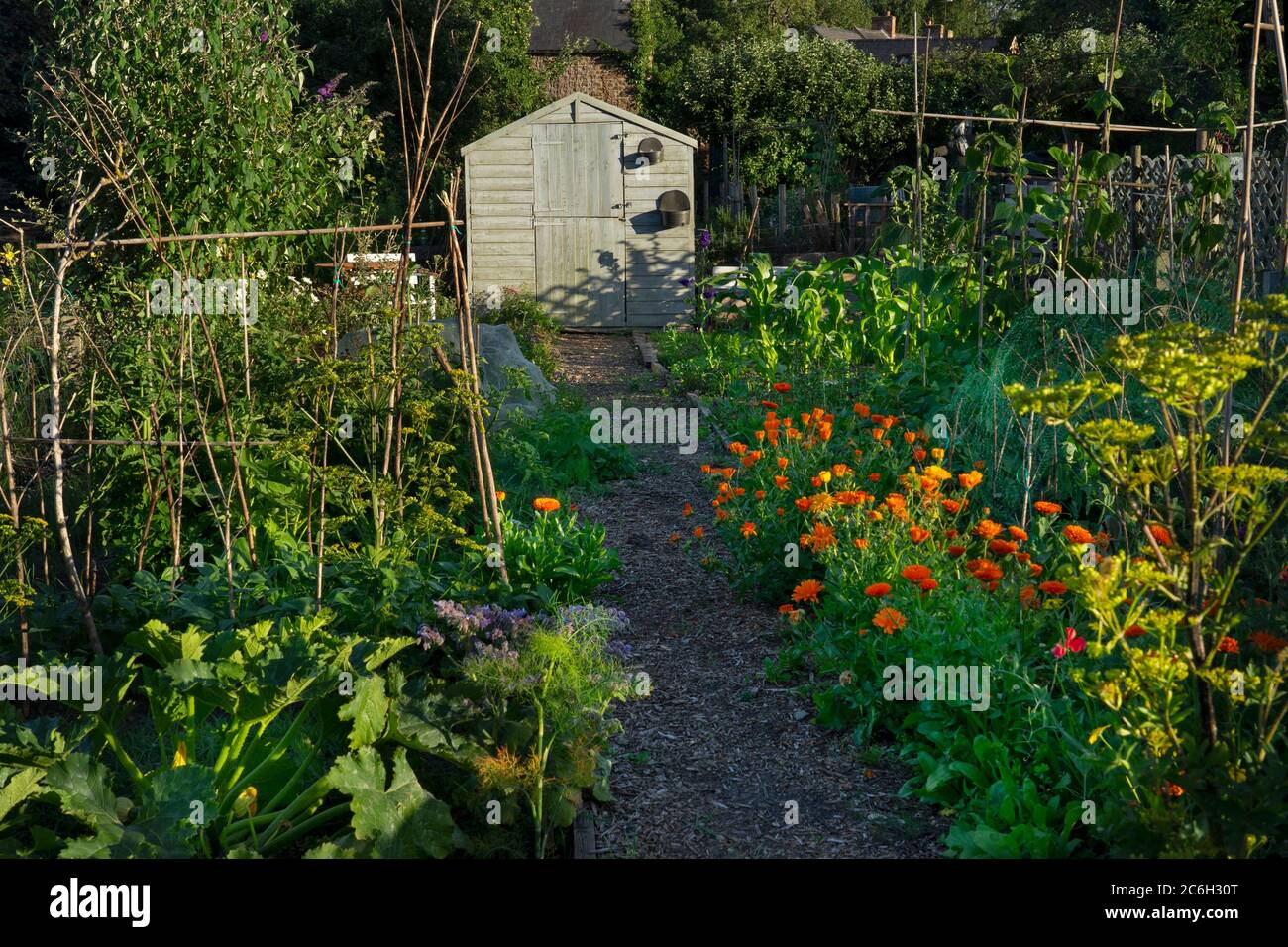 tipica assegnazione inglese Foto Stock