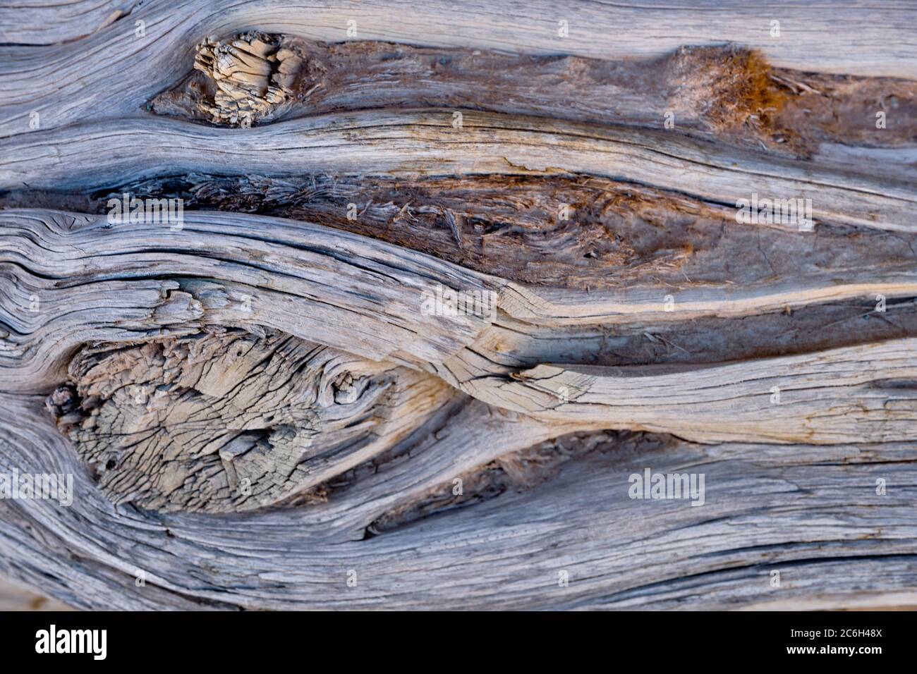Vecchie tavole di legno con struttura come sfondo Foto Stock