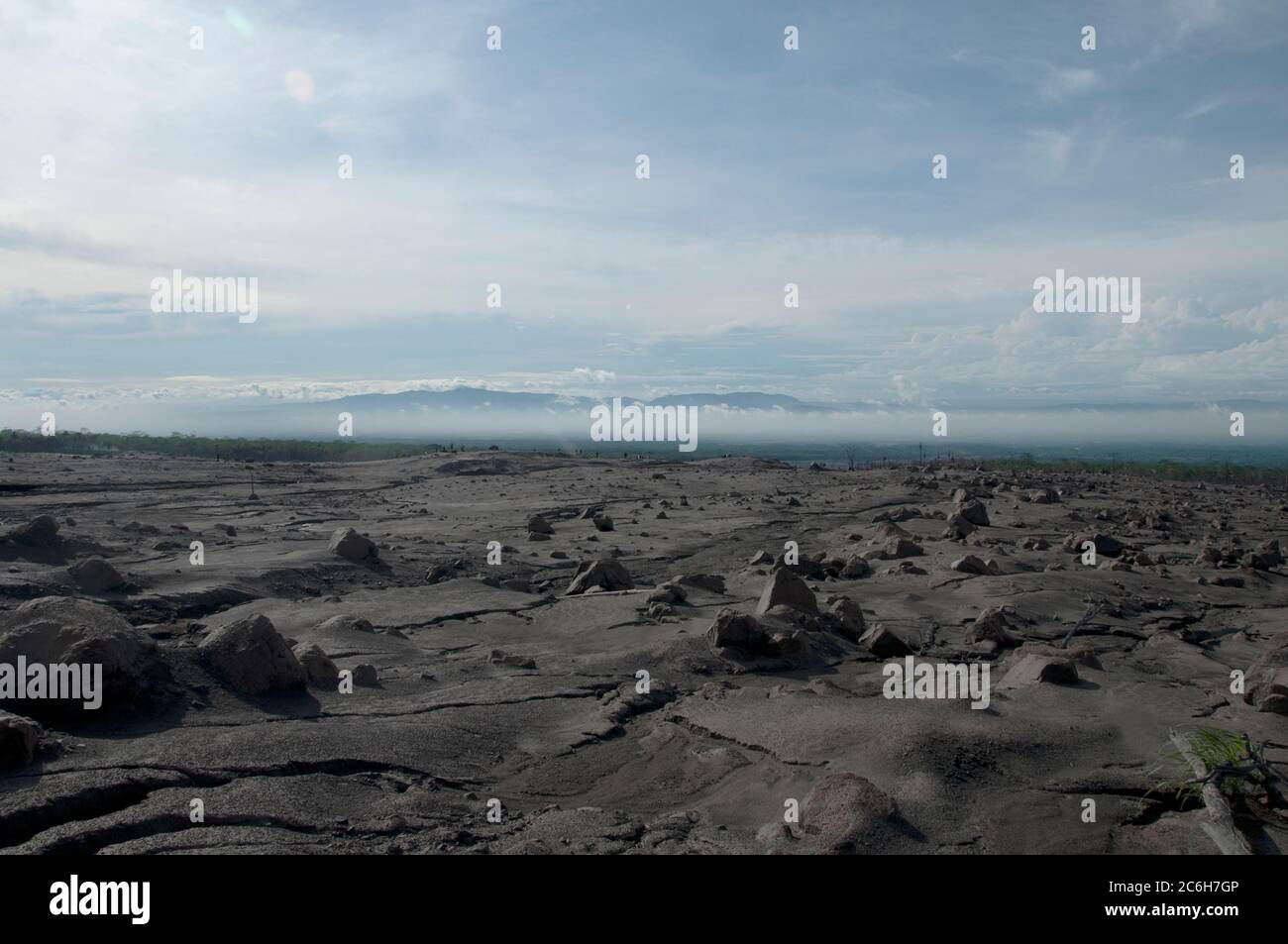 Campi ricoperti di cenere e alberi morti dall'eruzione del vulcano Merapi con pumi di cenere, Umbulharjo villaggio a 2 km dal vulcano, vicino Jogyakarta, Centra Foto Stock