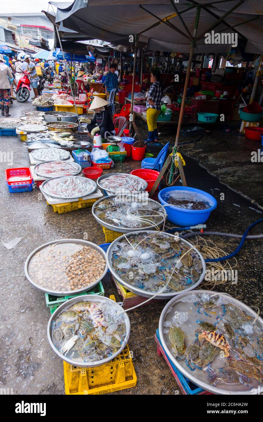 Pesce fresco e frutti di mare, Cho Duong Dong, Duong Dong Market, Duong Dong, Phu Quoc, Vietnam, Asia Foto Stock
