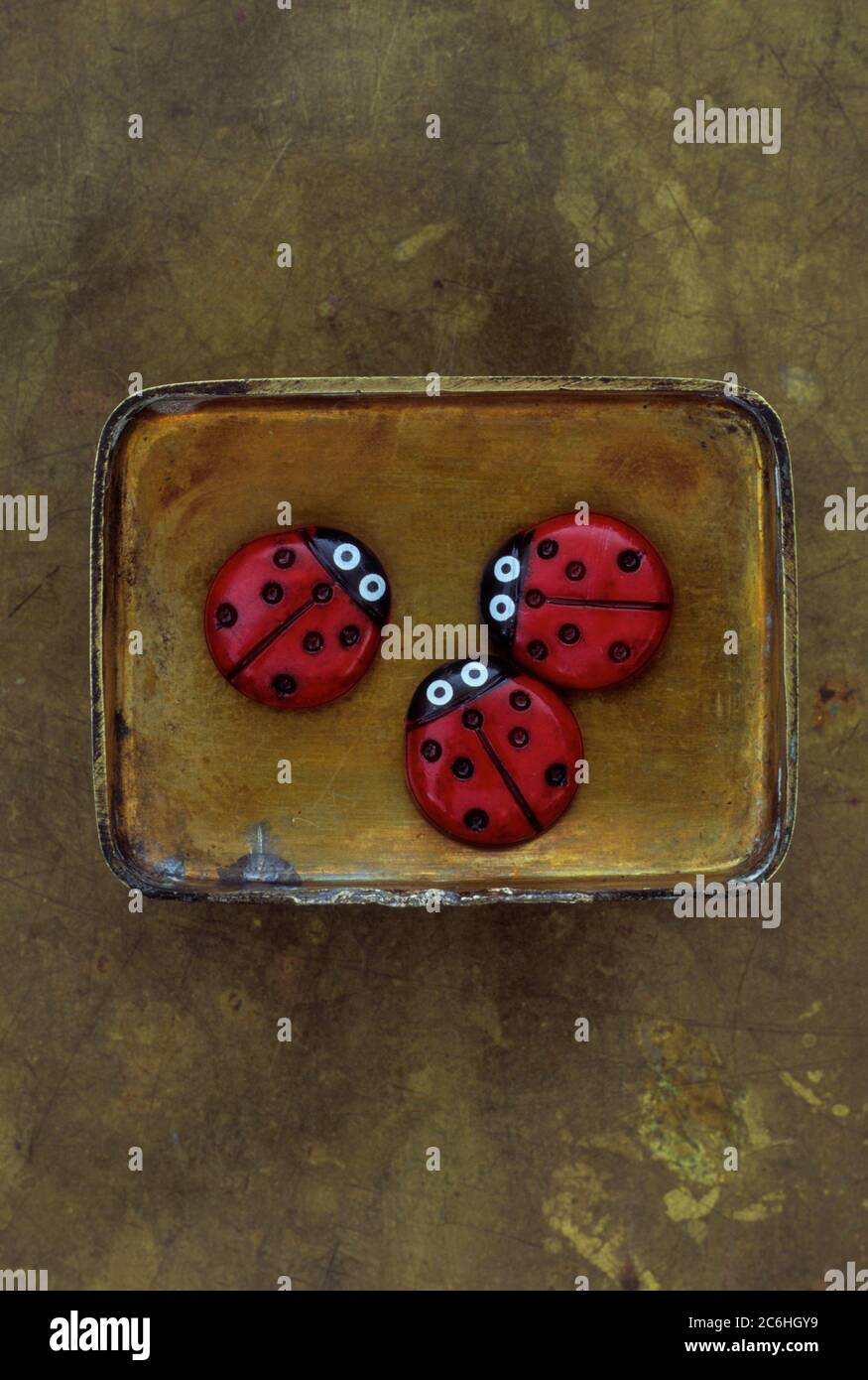 Coperchio in ottone piccolo contenente tre modelli o spille o distintivi o bottoni di ladybirds rossi con sette punti e occhi grandi Foto Stock