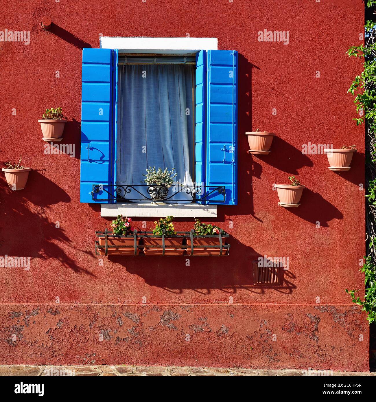 Parete in intonaco rosso con finestra aperta che circondava la serranda in legno blu e vasi in argilla con fiori in fiore sulla famosa isola di Burano, Venic Foto Stock
