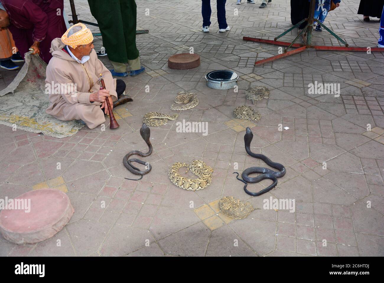 Marrakech, Marocco - 22 novembre 2014: Incantatore di serpenti e serpenti non identificati in Place Djemaa el-Fna - un sito patrimonio mondiale dell'UNESCO Foto Stock