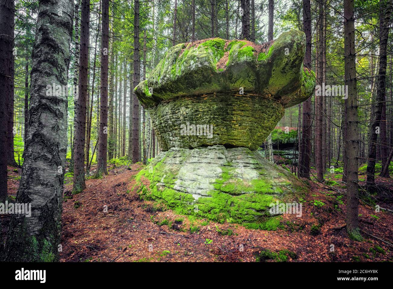 Formazione geologica di roccia a forma di fungo di pietra. Parco Nazionale delle Montagne di Stolowe, bassa Slesia, Polonia Foto Stock