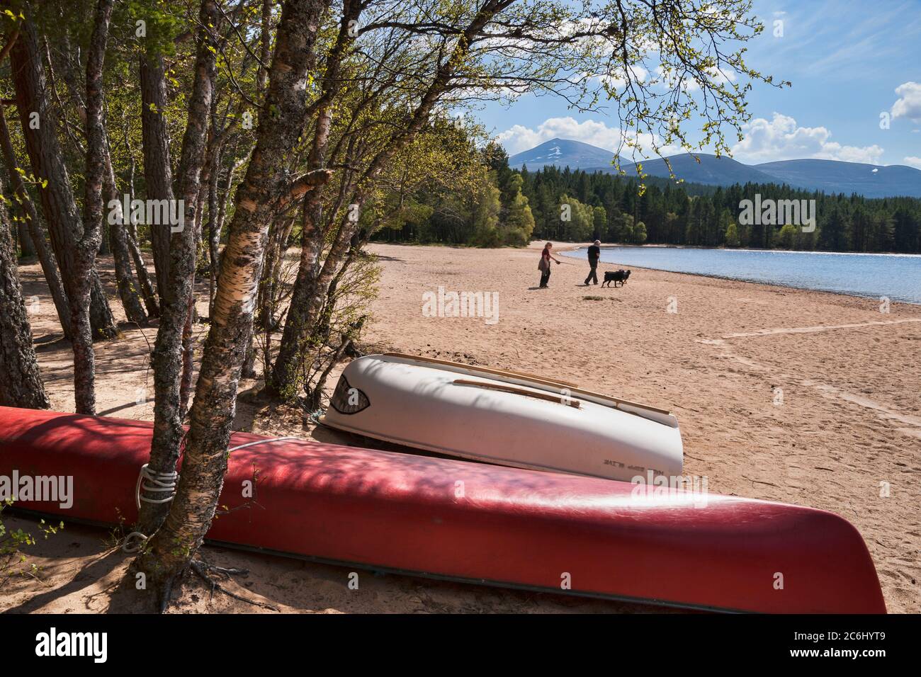 Cairngorms da Loch Morlich,, Aviemore Highland, Scotland, Regno Unito Foto Stock