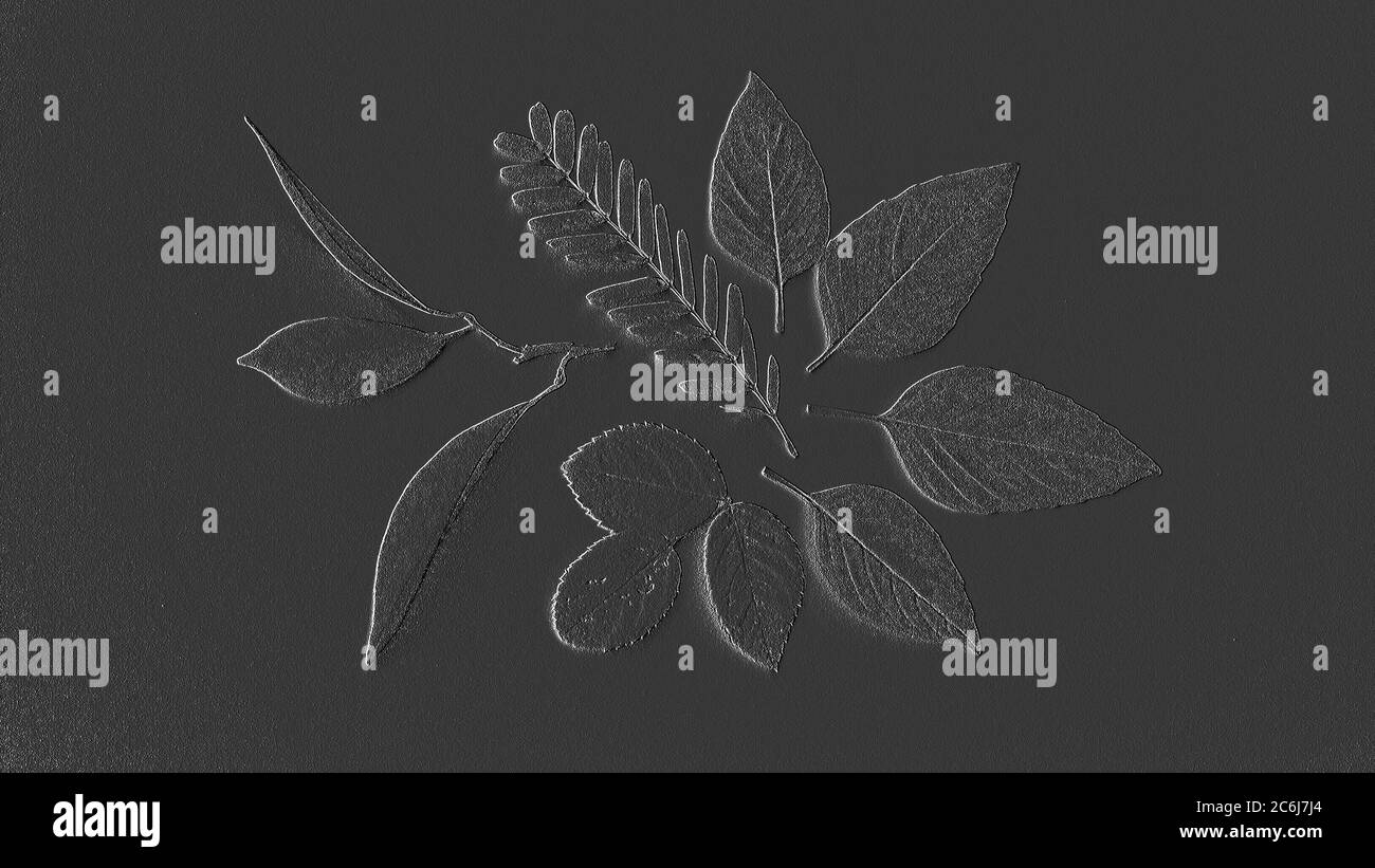 Effetto di goffratura su foglie diverse Foto Stock