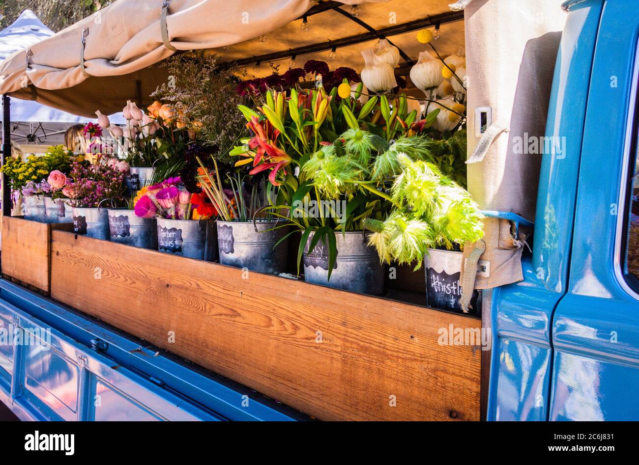 un camion aperto con secchi allineati pieni di fiori Foto Stock