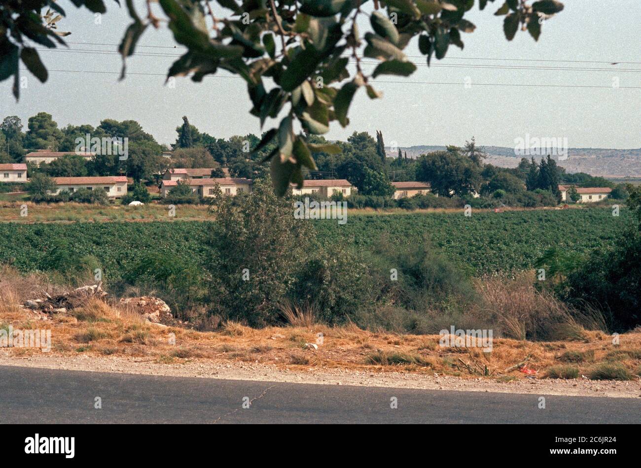 Kibbutz Kfar HaMaccabi, agosto 1984, Kiryat ATA, Israele Foto Stock
