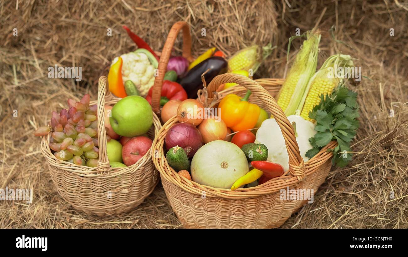 Cestini pieni con frutta e verdura. Concetto di raccolta estiva. Mele, uva, cavolfiore, carote, melanzane, peperoni, cipolle, cetrioli, mais e. Foto Stock