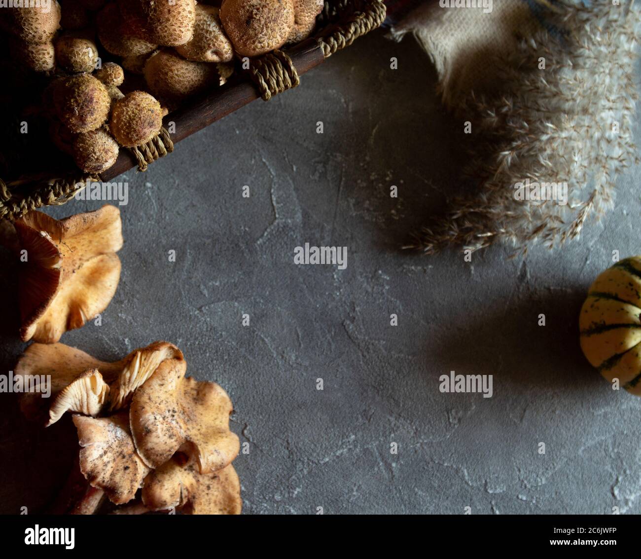 Funghi di bosco agarici di miele (Armillaria mellea). Composizione autunno ancora vita su tavola oscura. Spazio di copia, disposizione piatta Foto Stock