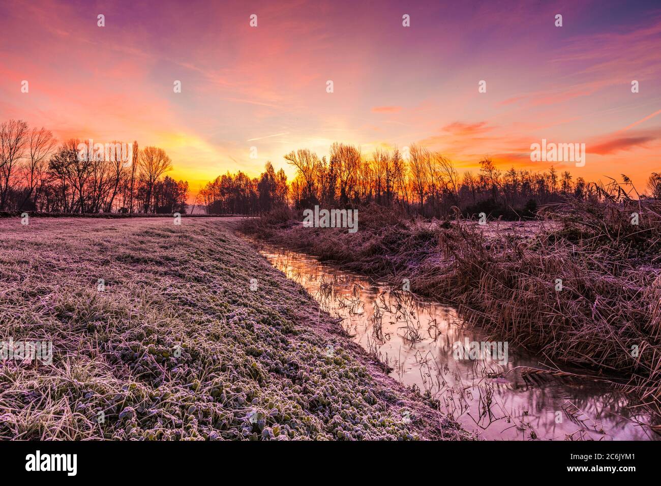 Italia Veneto Parco Naturale del fiume Sile Casacorba Foto Stock