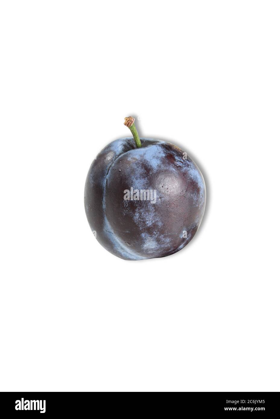 Frutto unico di prugna bagnato con ombra isolata su sfondo bianco. Foto Stock