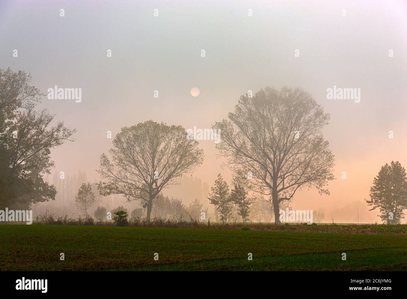 Italia Veneto Parco Naturale del fiume Sile Casacorba Foto Stock