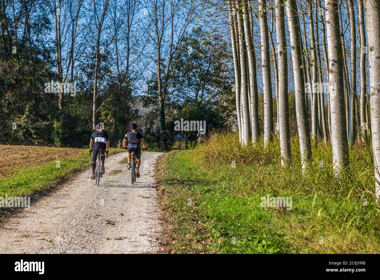 Italia Veneto Morgano - Parco Naturale del fiume Sile Foto Stock