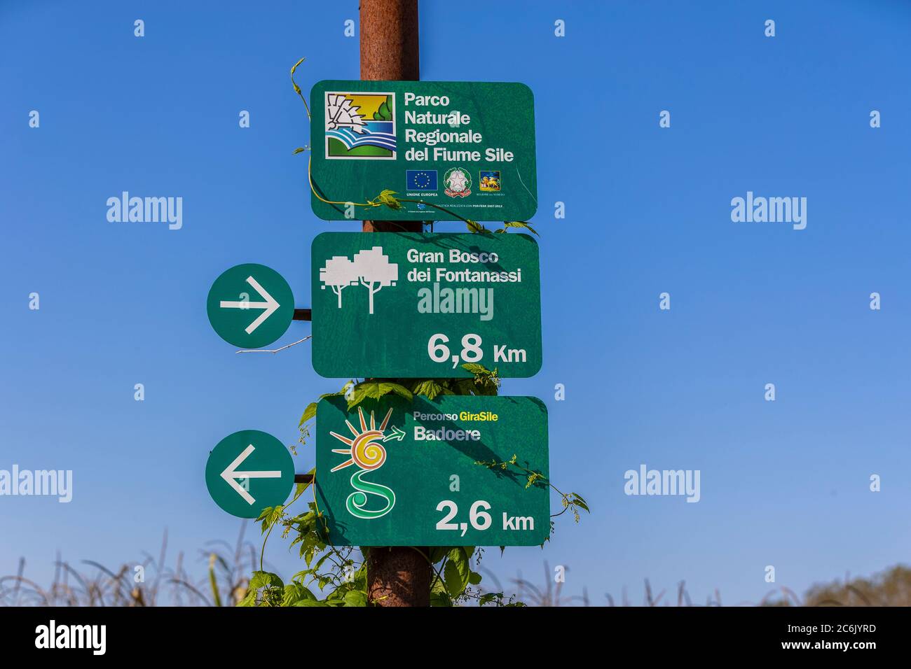 Italia Veneto Morgano - Parco Naturale del fiume Sile Foto Stock