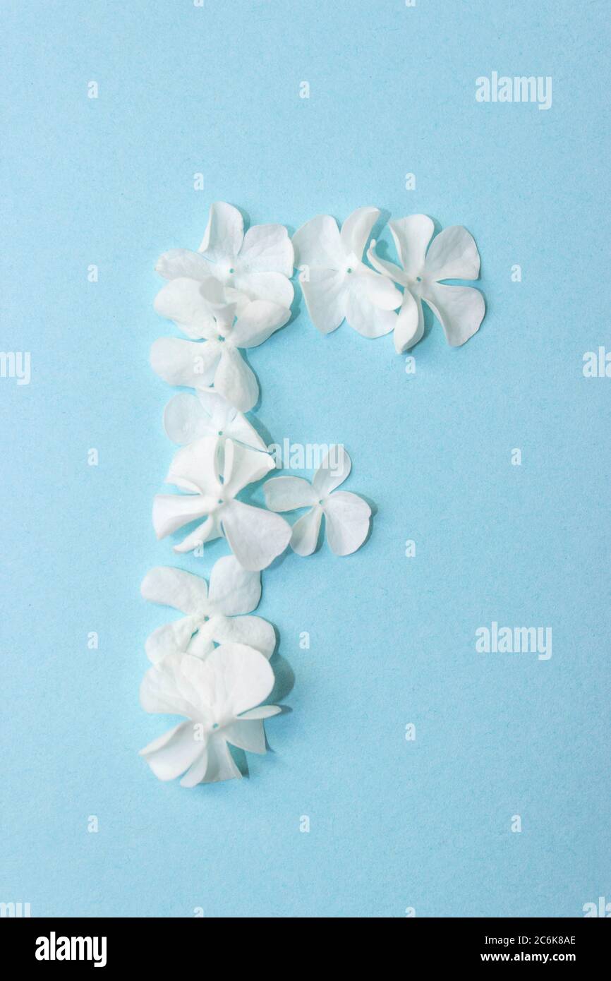 Flower Alphabet - F. lettera fatta da fiori vivi su sfondo azzurro Foto Stock Flower Alphabet - F. lettera fatta da fiori vivi su sfondo azzurro Foto Stock