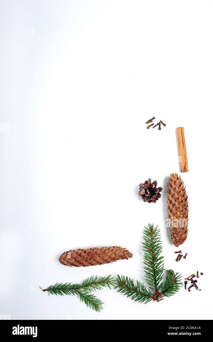 Coni di abete rosso, rametti, coni di pino, lichene e spezie, chiodi di garofano e bastoncini di cannella. Decorazioni natalizie su superficie bianca. Foto ad alto angolo di oggetto natalizio Foto Stock